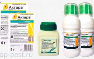 Актара – инструкция по применению для плодовых деревьев