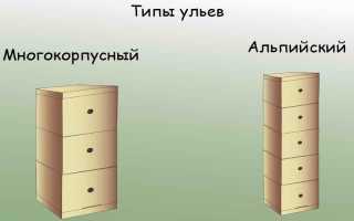 Что представляет из себя альпийский улей?