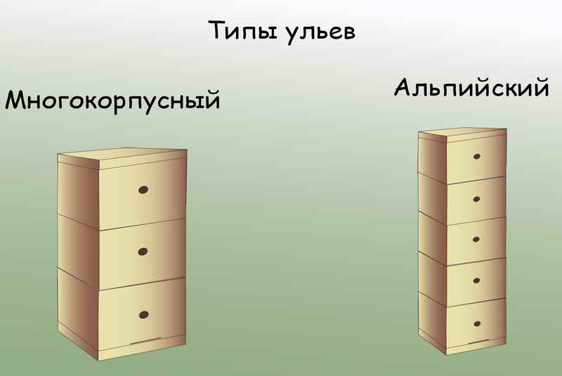 Альпийский улей: особенности, преимущества и недостатки