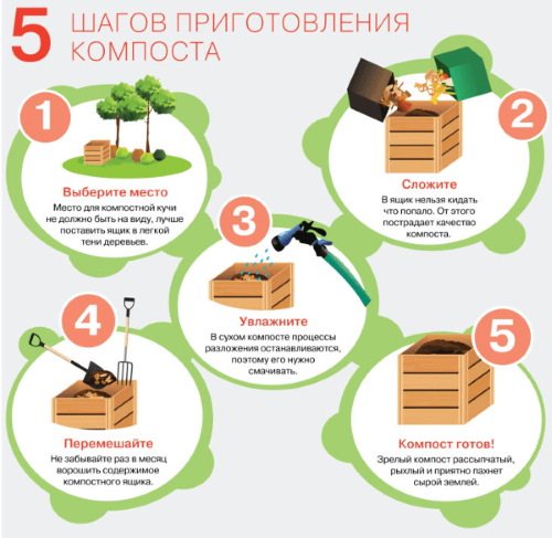 Гайлардия многолетняя. Посадка и уход, фото, сорта