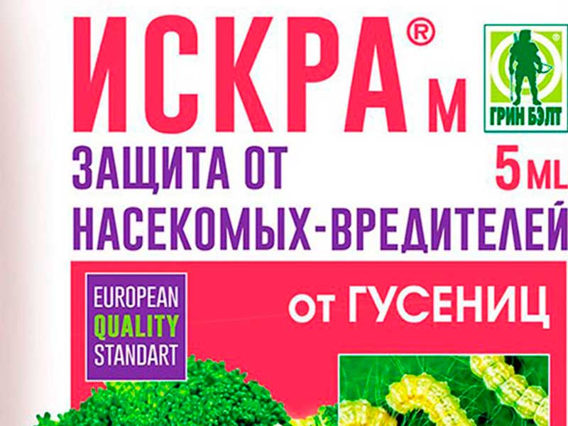 Искра М