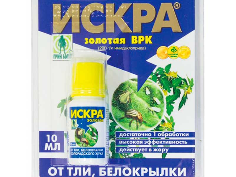 искра золотая