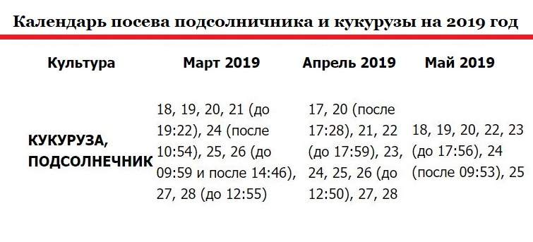 Календарь посева подсолнечника 2020 год