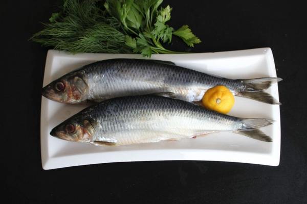 Молочная рыба (ханос): польза, вкусовые качества, рецепты приготовления