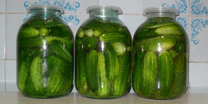 Огурцы в трехлитровых банках с рассолом