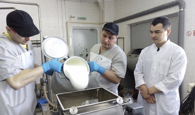 Сырье для производства масла