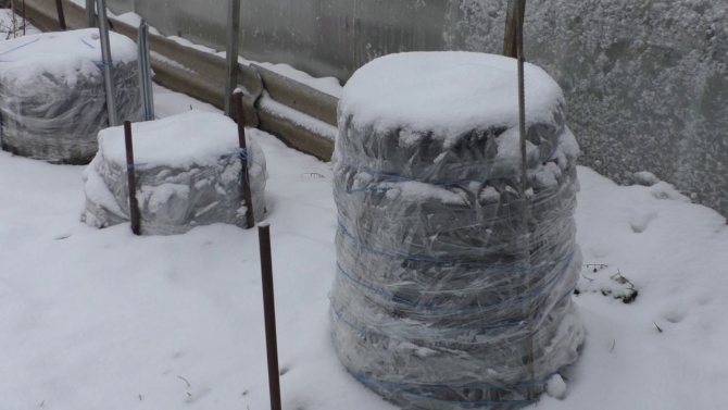 Укрытие роз автопокрышками