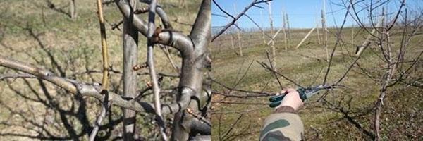 волчок растет вертикально